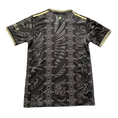 Maillot Argentine Concept 2026/2027