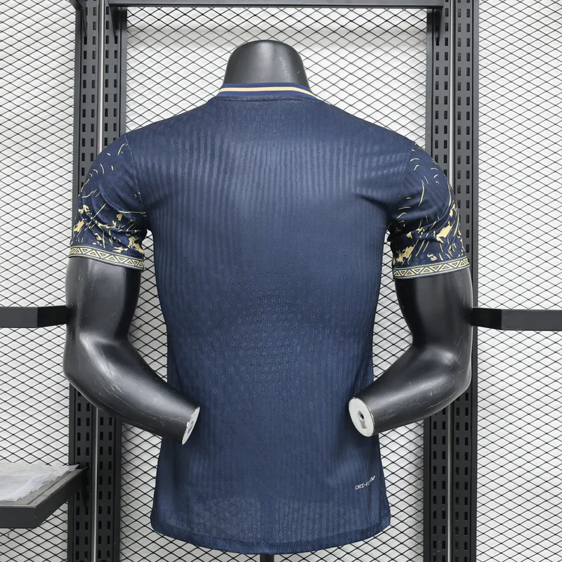 Maillot Player Brésil Concept 2024/2025