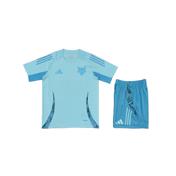 Ensemble Cruzeiro Training