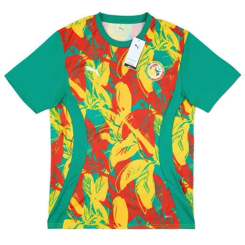 Maillot Sénégal Entraînement 2025/2026