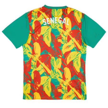 Maillot Sénégal Entraînement 2025/2026